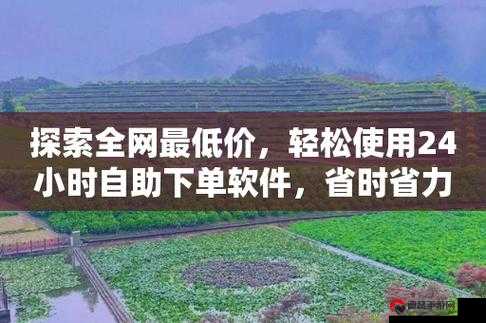 超低价ks业务自助下单平台，带你探索网络省钱新潮流